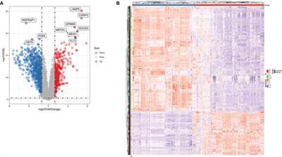 High Expression of BCL11A Predicts Poor Prognosis for Childhood MLL-r ALL